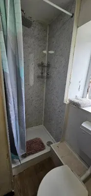 a small bathroom with a shower with a toilet at No 4 Trelawney Apartment - Onsite Bar - Restaurant - Horse Riding in Menheniot