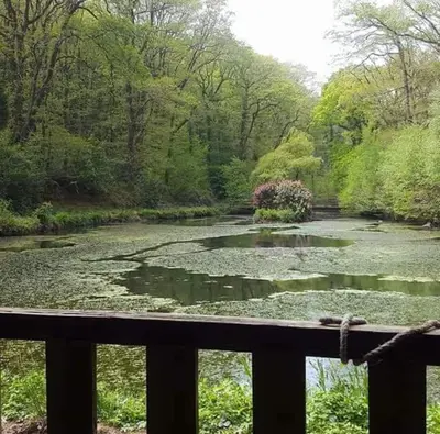 a view of a river with lily pads at No 4 Trelawney Apartment - Onsite Bar - Restaurant - Horse Riding in Menheniot