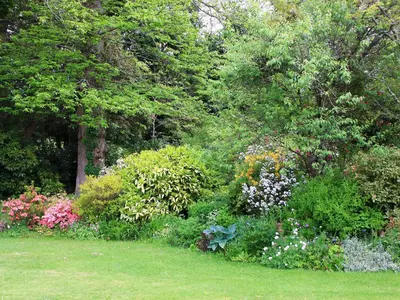 a garden filled with lots of flowers and trees at Isolda's - Ukc3905 in Lostwithiel