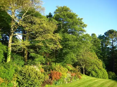 a garden with trees and a grass field at Tristan's - Ukc3906 in Lostwithiel