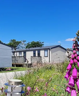 a house with purple flowers in front of it at Polborder Holidays Looe Country Park in Looe