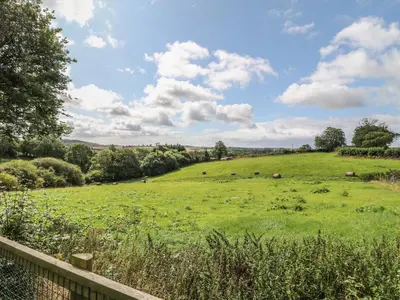 a large green field with cows in it at Whitsand in Saltash