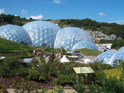 a group of domes in a garden in a field at Speedwell in Charlestown