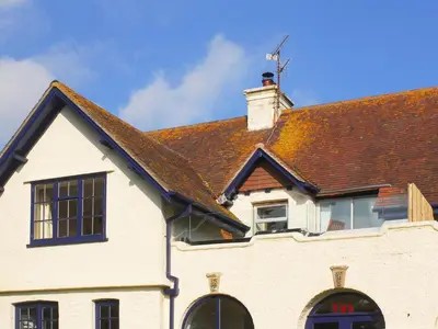 a white house with a brown roof at Bishops View in Polzeath