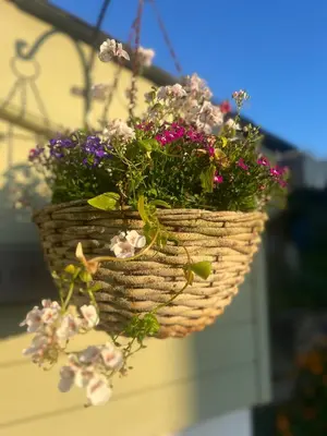 a basket of flowers hanging from a wall at Penwyth House in Newquay