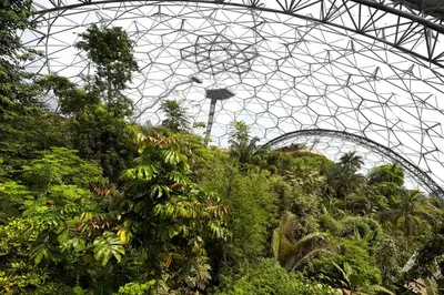a greenhouse filled with lots of plants and trees at Penwyth House in Newquay