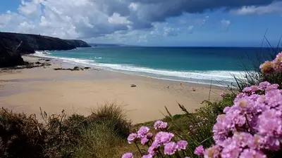 a beach with pink flowers in front of the ocean at Beach View Apartments in Porthtowan