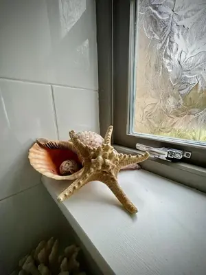 a starfish sitting on a window sill next to a window at The Engine House in Truro