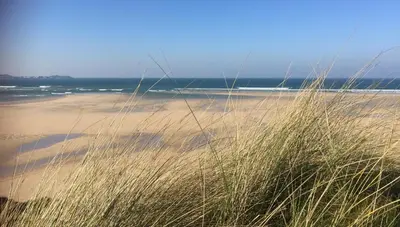 a sandy beach with tall grass and the ocean at Pensilva in Hayle