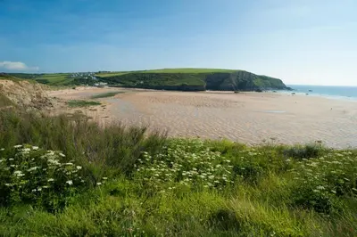 a sandy beach with white flowers and the ocean at Mawgan Porth Apartments in Mawgan Porth