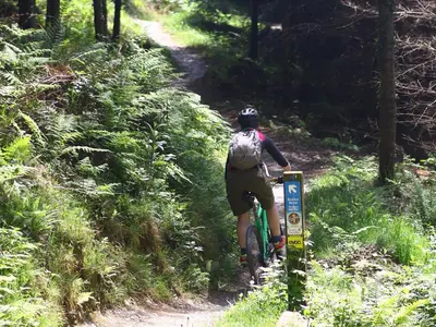 a person riding a bike on a trail at Ladyvale Barn in Cardinham