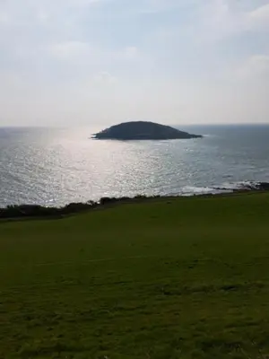 an island in the ocean next to a green field at Caravan Willerby Rio in Looe