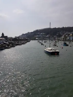 a group of boats are docked in a harbor at Caravan Willerby Rio in Looe