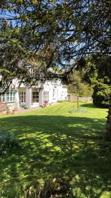 a large yard with a white house and a tree at The Annexe, Tregoose House in Newquay