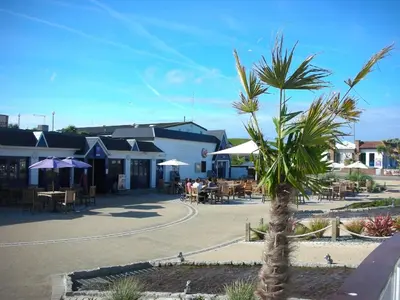 a palm tree in the middle of a street at Chalet 151, Perran Sands in Perranporth