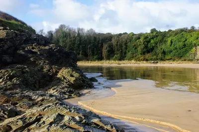 a beach with a body of water and trees at Samphire in Padstow