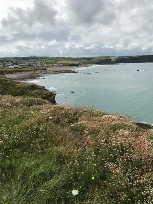 a view of a body of water with flowers at Chalet 18 Widemouth Bay Holiday Village in Bude