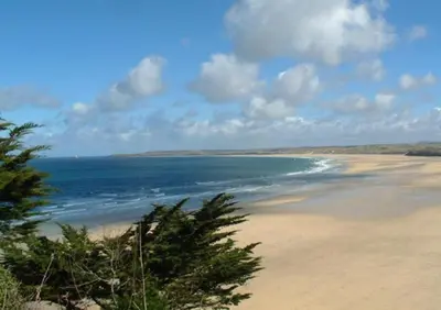 a view of a beach with a tree on the shore at Penquite Holiday Accommodation in Uny Lelant