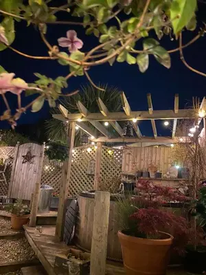 a wooden pergola with lights in a garden at night at Stargazy Garden in Hayle