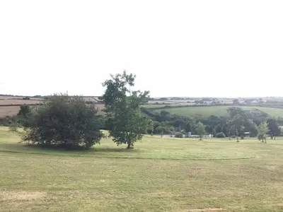 a field with two trees in the middle of it at Luxury Holiday Caravan Home in Newquay