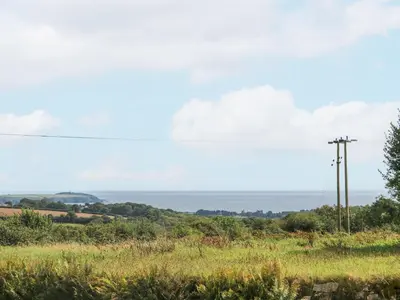 a field of grass with a telephone pole at Leghorn in St Austell