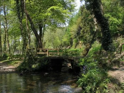 a bridge over a stream in a park at Dairy Cottage in Bodmin