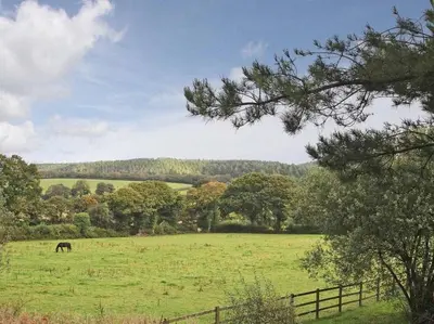 a horse grazing in a green field with a fence at Dairy Cottage in Bodmin