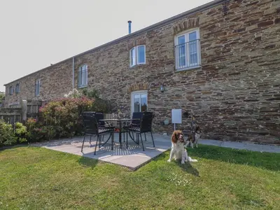 a dog sitting in the grass in front of a building at Sundowner in Padstow