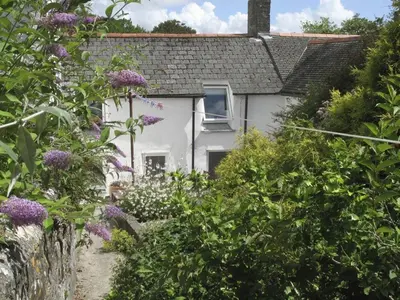 a white house with purple flowers in front of it at White Duck Cottage in Hayle