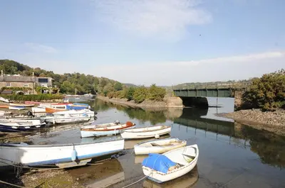 a group of boats are docked in a river at Roosters in Lostwithiel