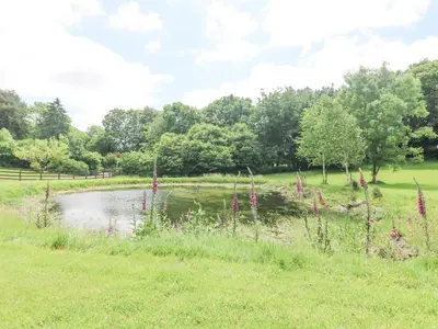 a pond in a field with flowers in the grass at Byre in Lostwithiel