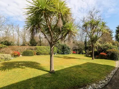 a palm tree in a park with a grassy yard at Little Beach House in St Austell