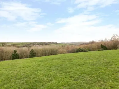 a green field with trees and a cloudy sky at Little May in Newquay