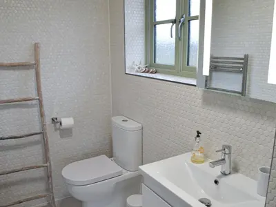 a bathroom with a toilet and a sink and a mirror at Hen Harrier Lodge-Uc3979 in Saint Columb Major