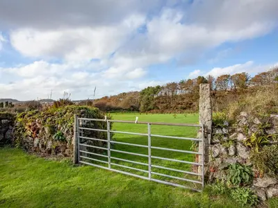 a fence in a field with a horse in a field at Greenbank Farm in Saint Dennis
