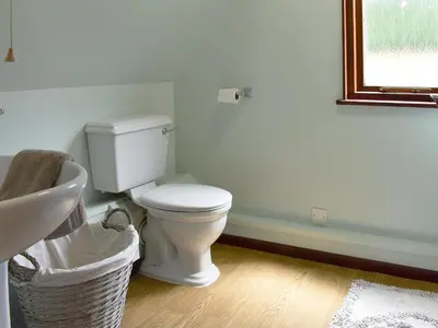 a bathroom with a white toilet and a sink at Trevithick Lodge in Hayle