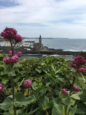 a bunch of pink flowers in front of the ocean at White Willows in Praa Sands