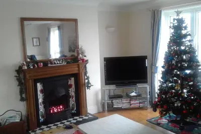 a living room with a christmas tree and a television at The Old Quayside House in Falmouth