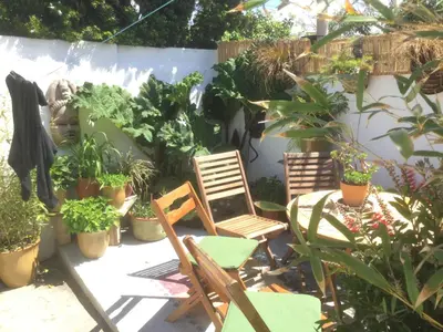 a group of chairs and plants in a garden at Bambu Cottage in Newquay
