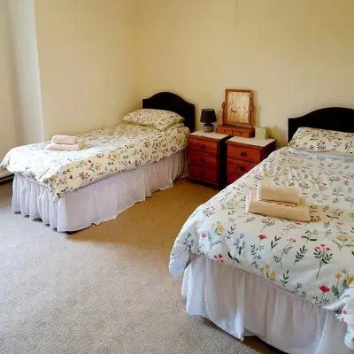a bedroom with two beds and a dresser and a mirror at Sycamore Farm in Launceston
