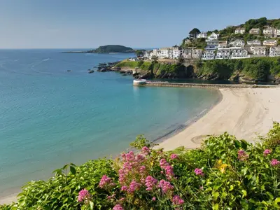 a beach with pink flowers and houses on a hill at Lowena Cottage in Looe