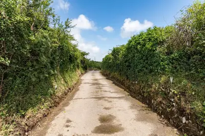 a dirt road with trees on both sides at Be Our Guest Cottage in Truro