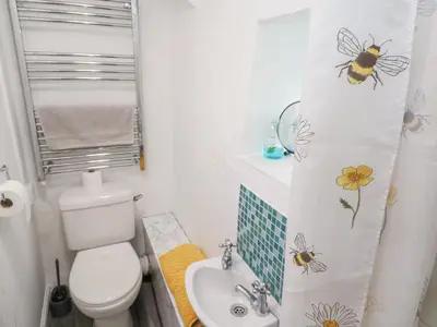 a bathroom with a toilet and a sink and a shower curtain at Toadstools in Penryn