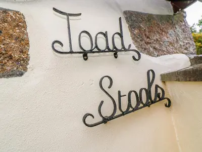 a sign on a wall that reads load school at Toadstools in Penryn