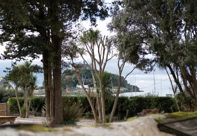 a group of trees with a view of the water at Sandpiper, apartment across from the beach in Marazion