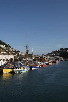 a group of boats are docked in a harbor at Polmear Harbour View With Terrace in Looe