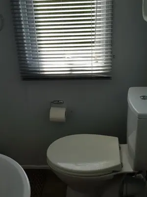 a bathroom with a white toilet and a window at Caravan Willerby Gold Star in Looe