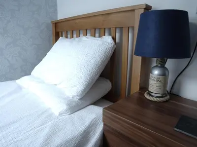 a bed with a pillow and a lamp on a nightstand at Elnor Guest House in Liskeard