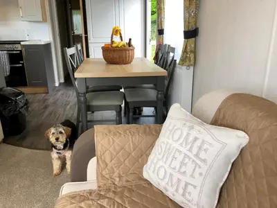 a dog standing next to a table with a couch at Newquay Blue Water in Newquay