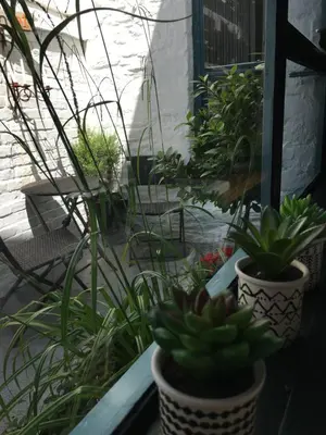 a porch with potted plants sitting on a window sill at 'the inlet' falmouth in Falmouth
